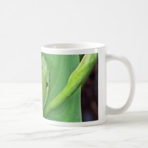 Tree Frog Mug