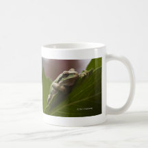 Tree Frog Mug