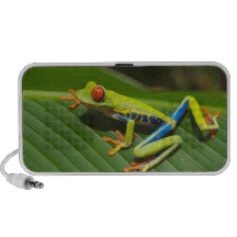Tree Frog Portable Speakers