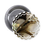 Tree Frog Round Button