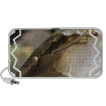 Tree Frog Speakers