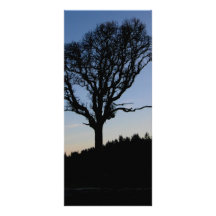 Tree in the morning rack cards