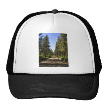 Tree lined dirt road mesh hat