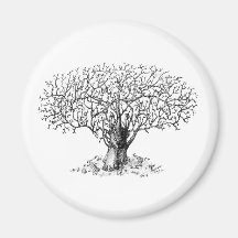 Tree of Life - animals Magnets