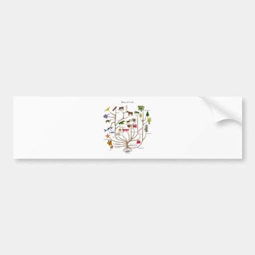 Tree Of Life Bumper Stickers