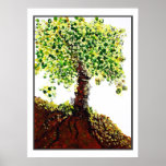Tree of Life Poster