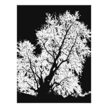 tree photo art