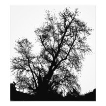 tree art photo