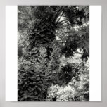 Tree Posters