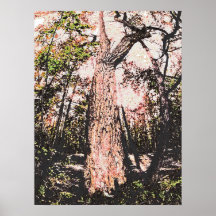 tree posters