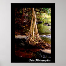 Tree Print