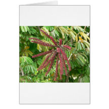 Tree Red Flowers Greeting Card