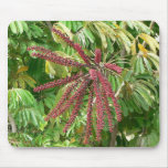 Tree Red Flowers Mouse Mats