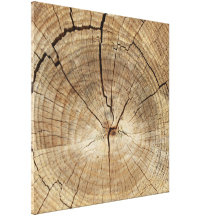 Tree Rings Background Canvas Print