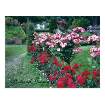 Tree Roses, Portland, Oregon postcards