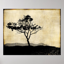 Tree Silhouette Photo Art Poster