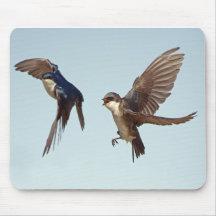 Tree Swallow Chase Mousepad