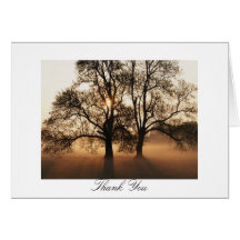 Tree, Thank You Greeting Cards