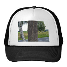 Tree Trunk along countryside road Mesh Hat