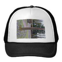 Tree Trunk in Garden Hat