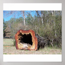 Tree Trunk Poster