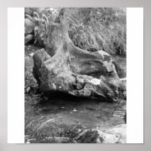Tree trunk posters
