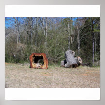 Tree Trunk Print