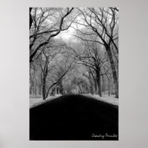 Tree Tunell Print
