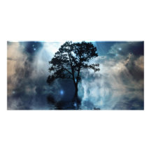 Tree & Water Photo Cards