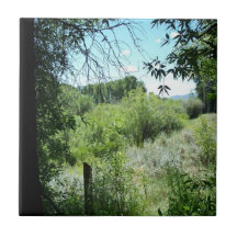 Trees, green trees, fence post tile