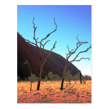 Trees of Ayers Rock Postcards