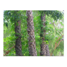 Trees Postcard