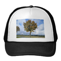 Trees  Under Blue Sky Hats