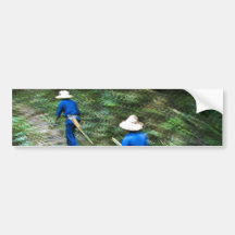 Trekking Through the Thai Jungle Bumper Sticker