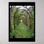 Trellis Tunnel - Germany Posters