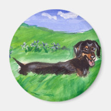 tri colour dachshund in field fridge magnet