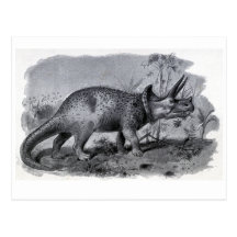 Triceratops Postcard