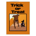 Trick or Treat Happy Halloween Dogs Cards