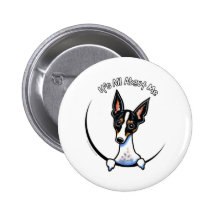Tricolor Rat Terrier IAAM Button