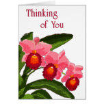 Trio of Cattleyas Thinking Card