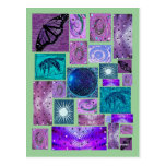 Trippy Hippy Postcards