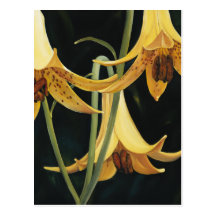 Trish Biddle Canada Lilly Postcards