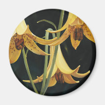 Trish Biddle Canada Lilly Refrigerator Magnet