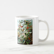 Trochilidae Hummingbirds, Ernst Haeckel Coffee Mug