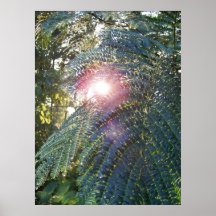 Trong Rung Poster