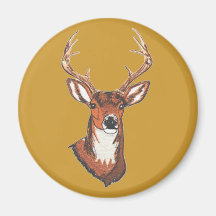 Trophy Buck Rack Mount Fridge Magnet