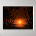 Tropic of Cancer Posters