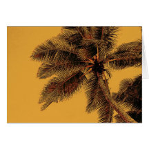 tropic palm greeting card