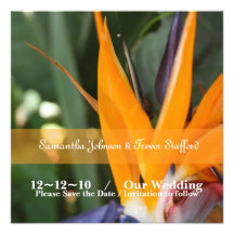 Tropical Bird of Paradise Wedding Announcements