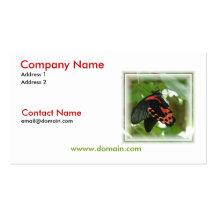 Tropical Butterfly Business Card